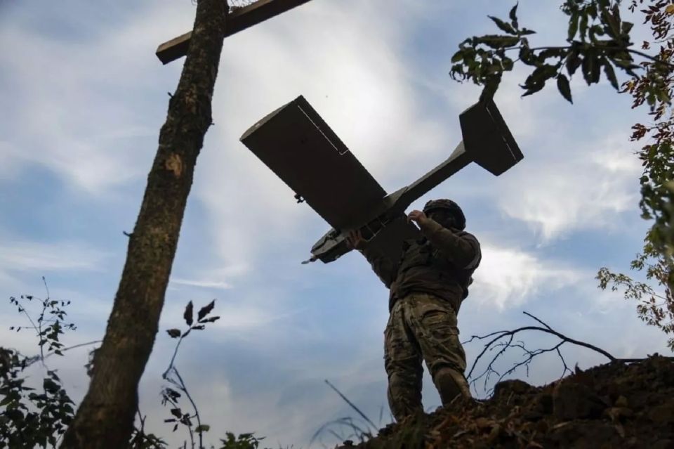 Крым под ударом: сколько вражеских БПЛА удалось уничтожить в небе над полуостровом в ночь на 4 июня 2025 года