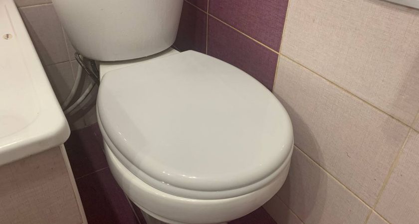 Почему нельзя оставлять открытой крышку унитаза. Запомните раз и навсегда