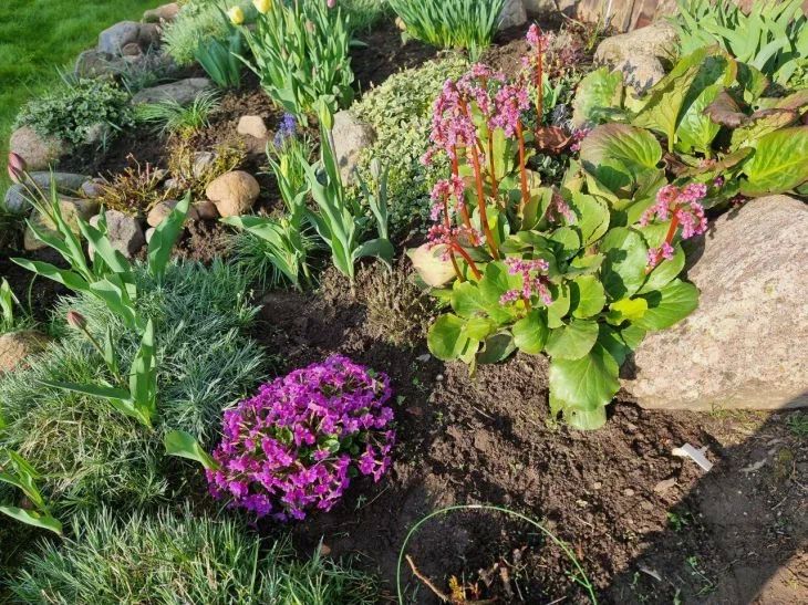 Как превратить цветник в райский уголок без единого сорняка: лучший вариант