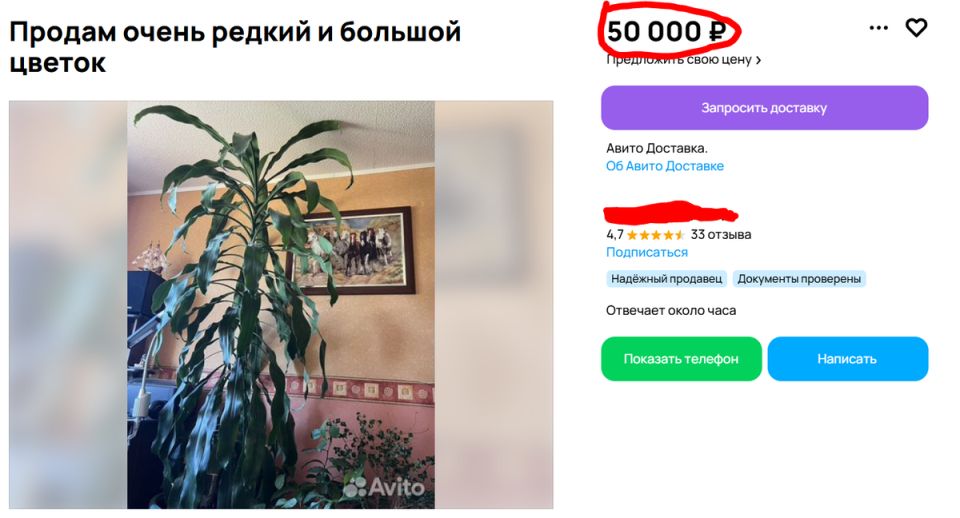     :       