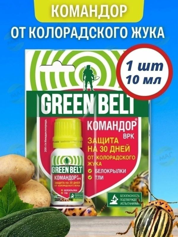      :   