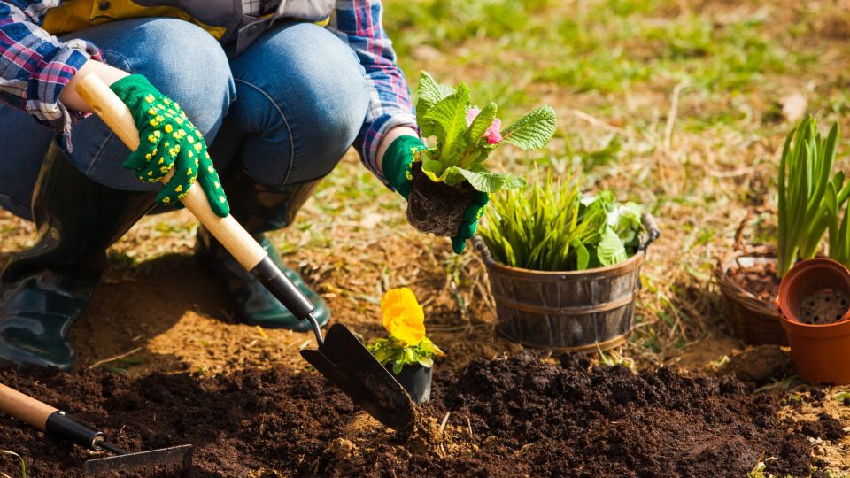 Эту ошибку при перекопке почвы совершает каждый второй: урожая потом не ждите