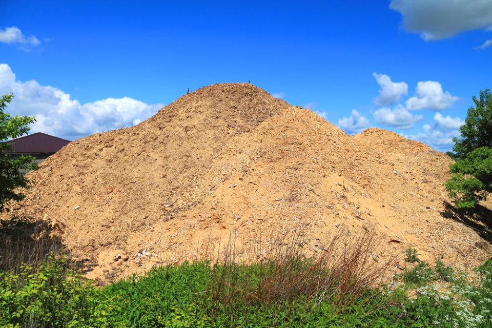 Незаменимые опилки: 8 способов применения на даче