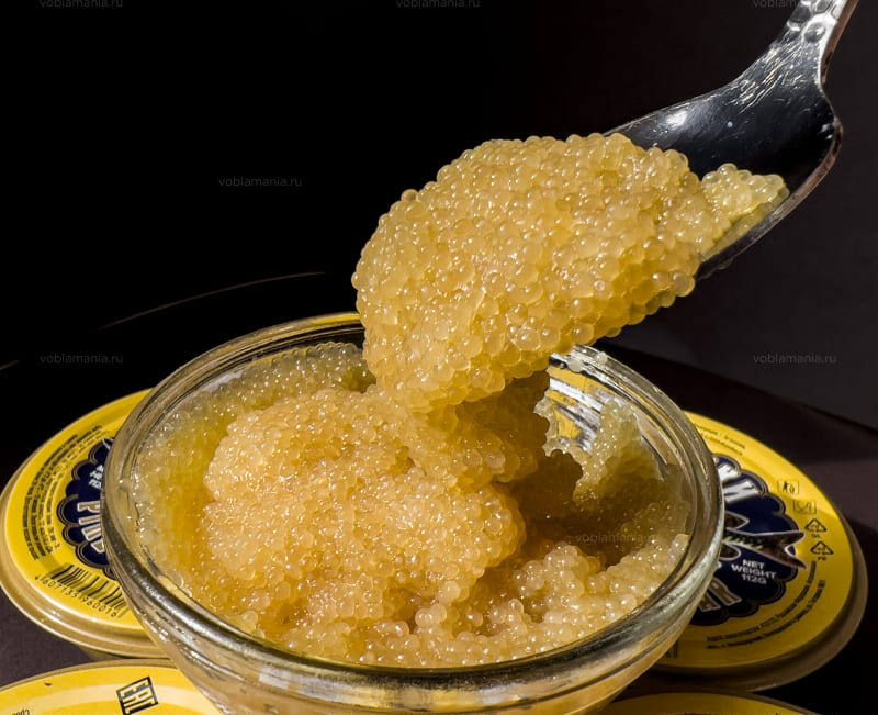 Щучья икра: редкий деликатес с историей и непревзойденным вкусом