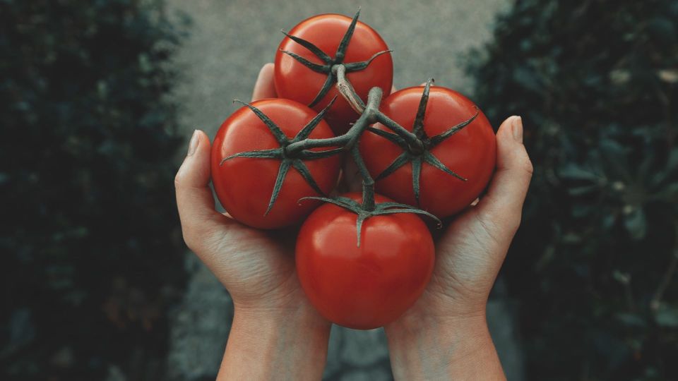 На страну производителя не смотрите: только такие помидоры будут сочными и сладкими