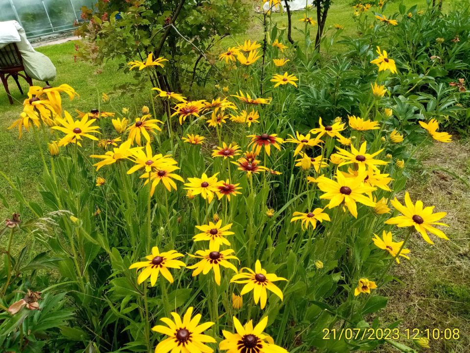 Август на пороге: народные приметы и прогнозы