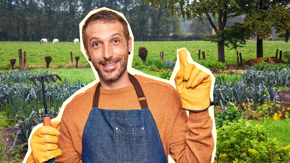 У опытных дачников всегда чистые руки: спасают идеальные перчатки для работы в саду