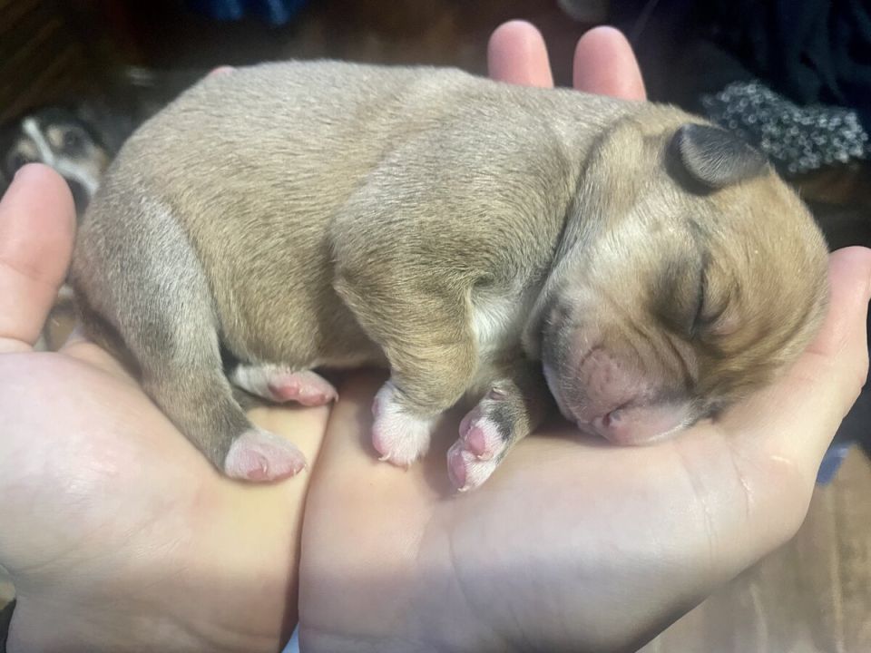 Прокрастинация: Как бездействие может привести к неожиданным последствиям