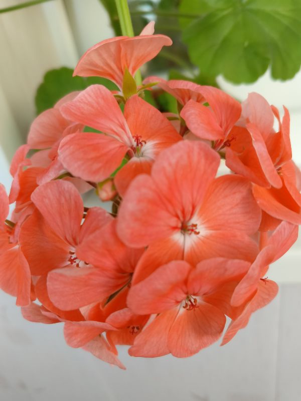 Экономия или здоровье: на чем не стоит экономить в повседневной жизни