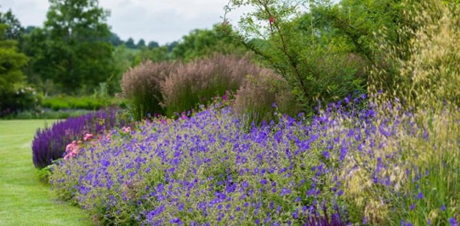 Трансформация двора: искусство создания вдохновляющих бордюров