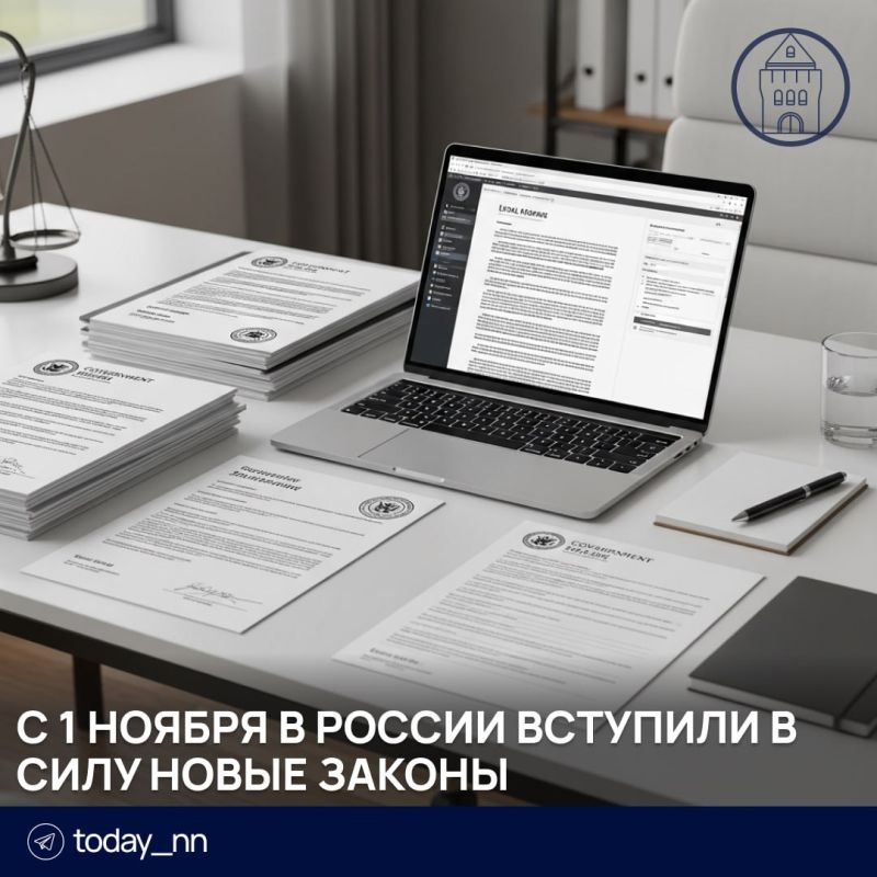 Новые законы в России: важные изменения в жизни граждан с 1 ноября