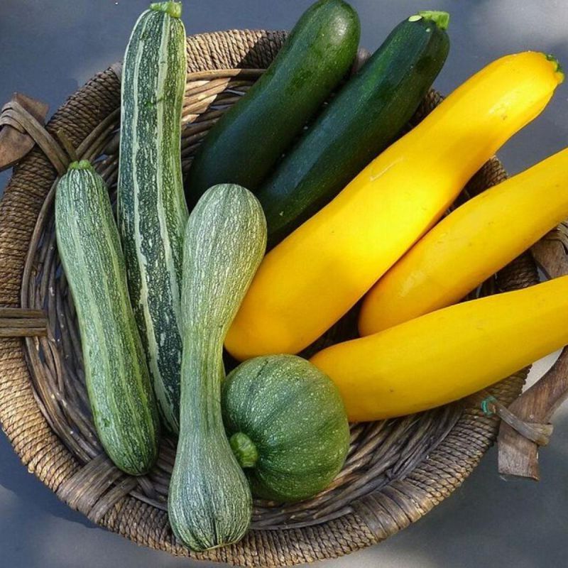 Зачем задействовать профессионалов: ключевые задачи для вашего участка