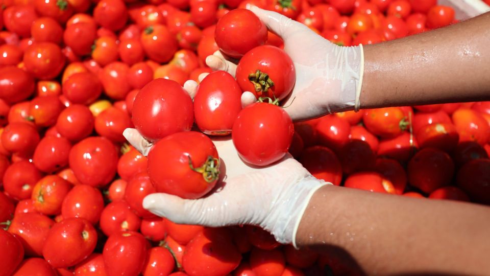 Чемберленский соус заменит томатную пасту и кетчуп: будете есть всю зиму