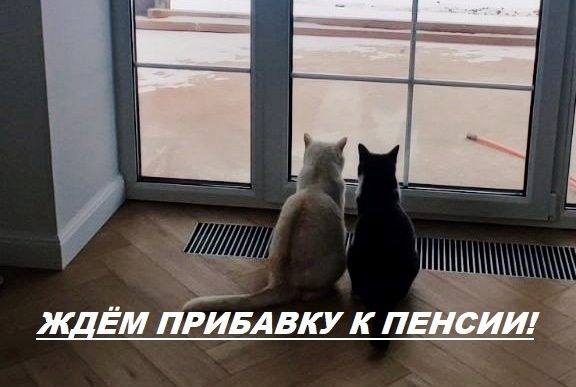 идущие к идеальной пенсии: мнения и предпочтения россиян