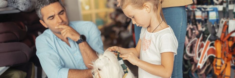 Возврат домашних животных: как поступить, если питомец не подошел