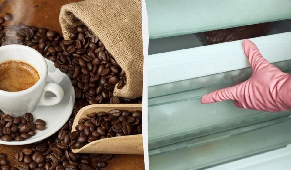 Как сохранить свежесть кофе: секреты идеального хранения