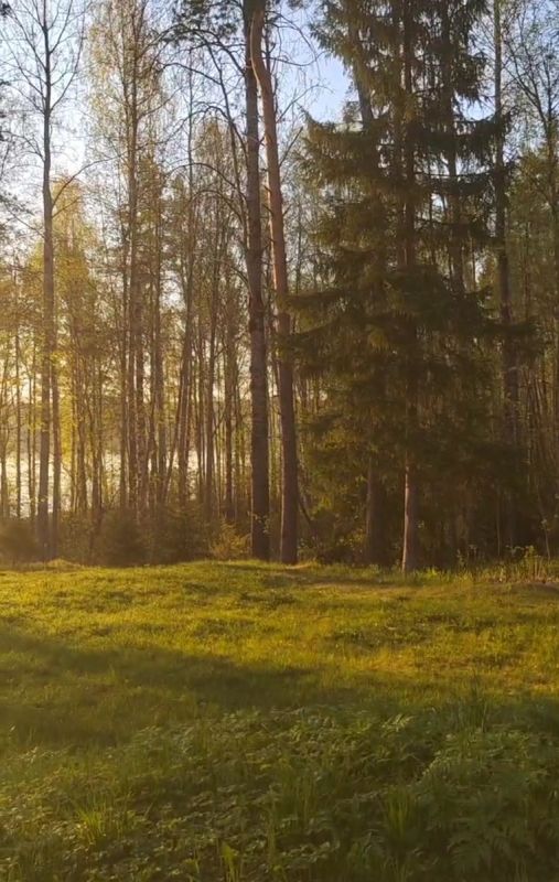 Авторы «Дзена» в поисках новых горизонтов