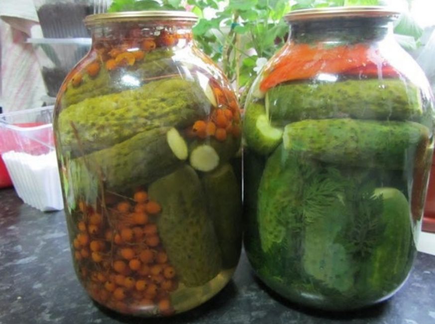 Маринованные огурцы с рябиной: бабушкин секрет