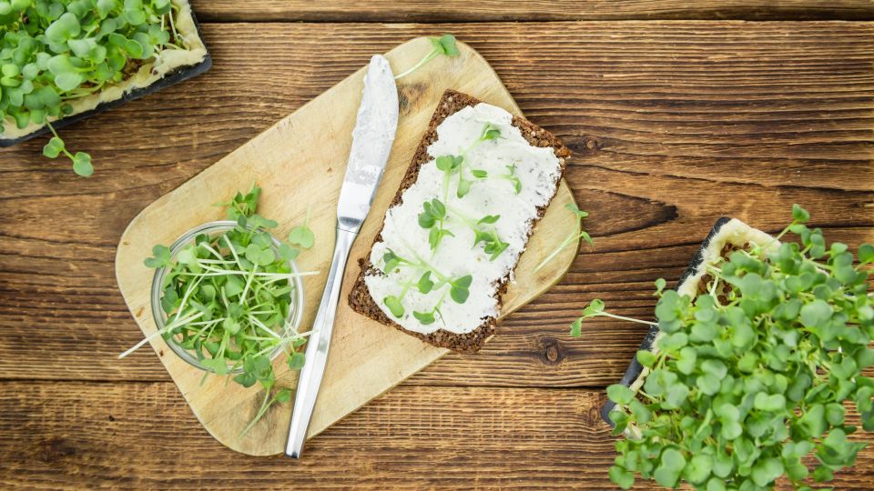 Нежнейшая намазка из кабачков на любой случай: получается вкусно и готовится за 10 минут