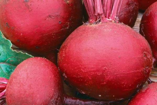 Почему свёкла Одноростковая – идеальный выбор для огородников в 2025 году