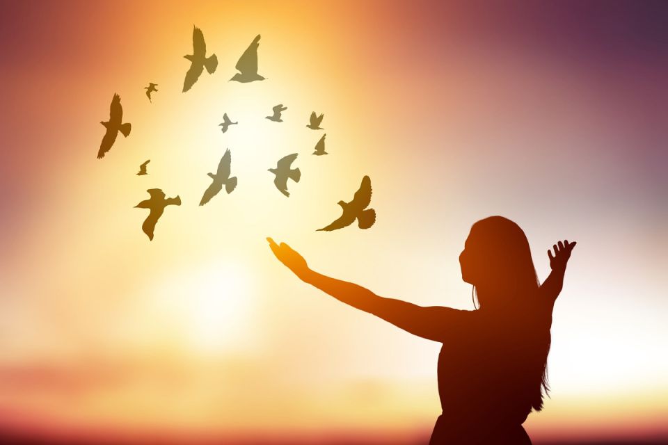 Одна женщина и три собаки: как предательство открыло новые горизонты