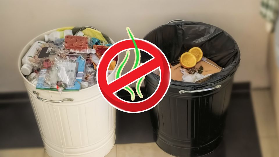 От мусорного ведра не будет «душка» на всю кухню: пойдите на эту хитрость