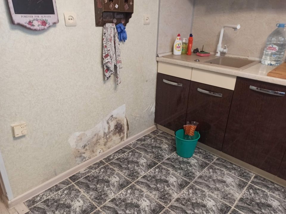 Плесень в квартире: как обнаружить скрытые причины и справиться с проблемой