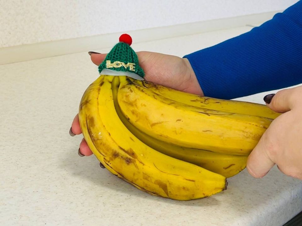 Кулинарные хитрости: как заменить дорогие гаджеты на бюджетные альтернативы