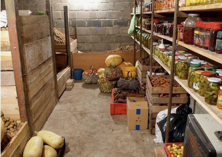 Как сохранить овощи на зиму: эффективные природные антисептики