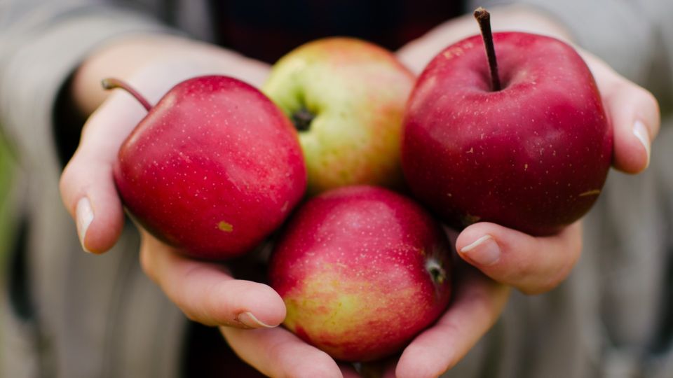 Яблочная кожура станет на вес золота: решит наболевшую проблему с кастрюлями