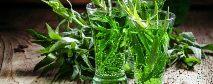 Секреты приготовления настоящего лимонада Тархун в домашних условиях