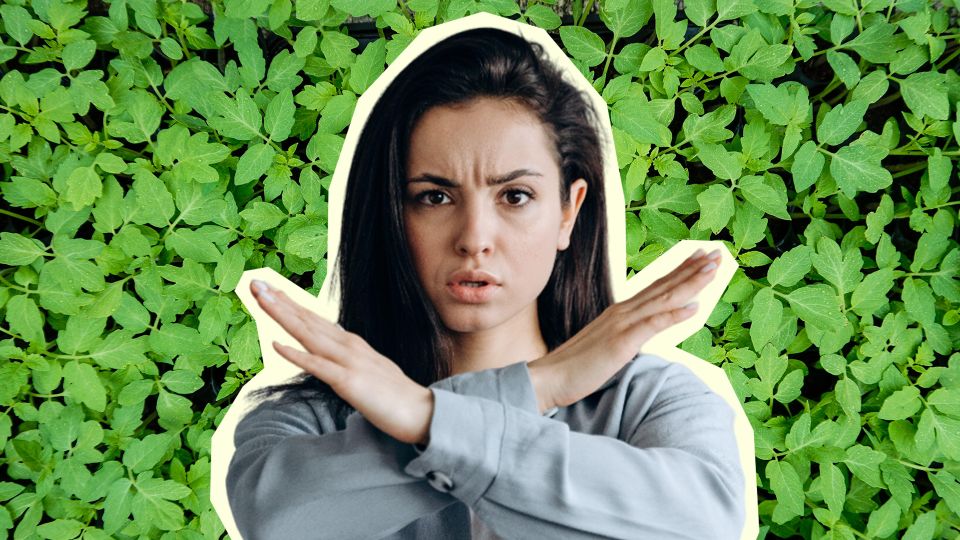 Всходов в жизни не дождетесь: даже не вздумайте сеять семена в эту емкость