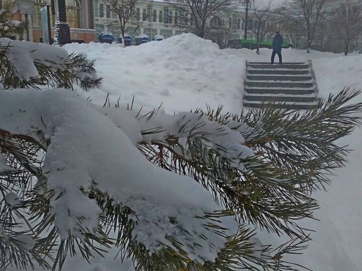 Новые законы ноября 2025: что ждёт россиян