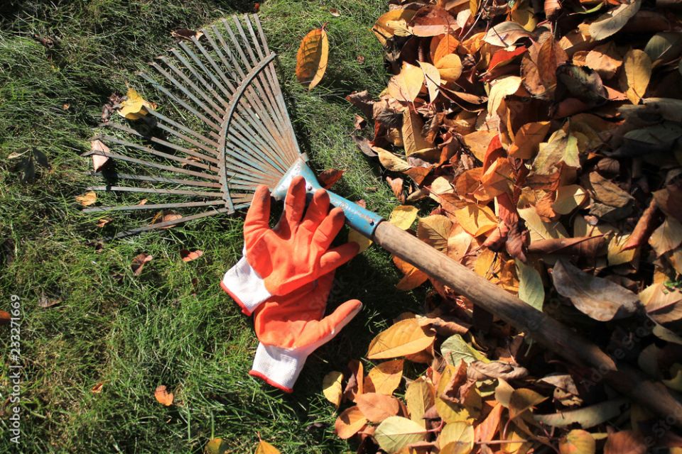 Осенняя уборка: как сделать дачный участок экологичным и полезным для природы