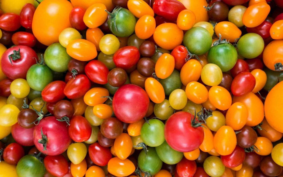 ������� ������ �����: 7 ���������� ������ ��� ������ �������