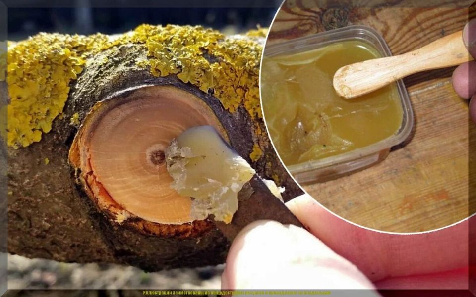 ����������� ������������ �������� ����: ������ ������ ������� �� ��������