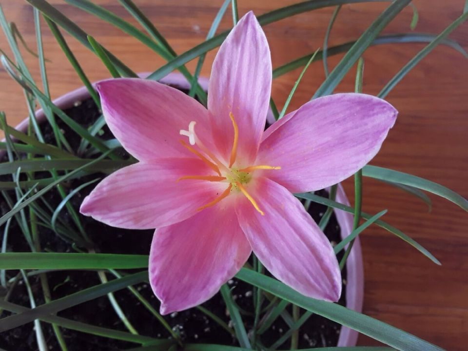 ������ �������� ����� ����� ����� �������