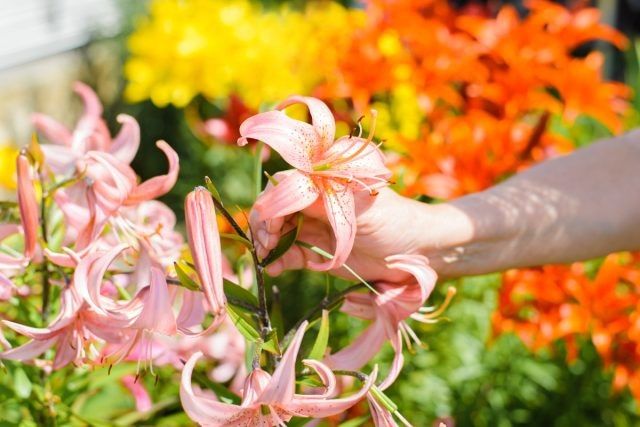 ������� ������: ��� �������� ������� �������� ����� � ����� ����