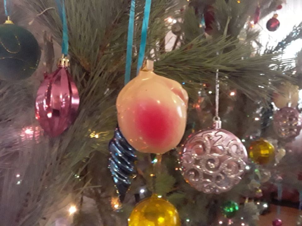 Как избавиться от новогодней ёлки: креативные решения для дачников