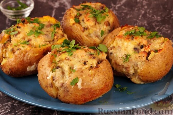 ����������� ���� � ���� ������ ����: ������� ���� ��� ��������