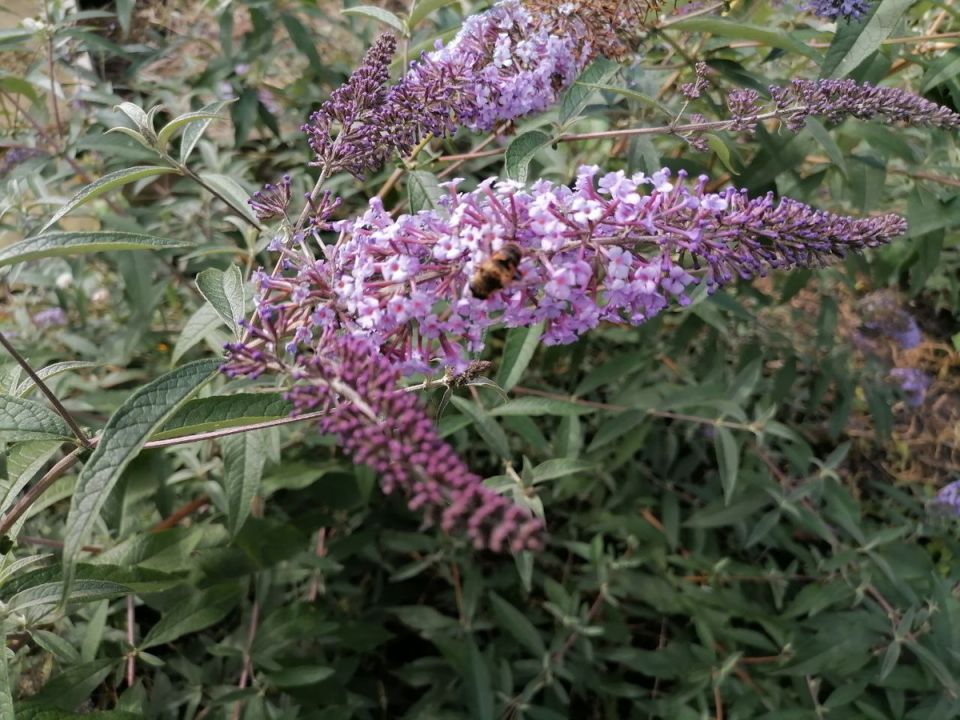 ���� �� ����: ��� ������� ���������� � ������ ����