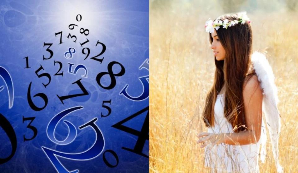 ����� �������: ��� ����� �������� ��������� ���� ������