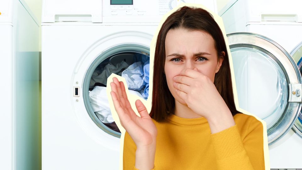 ��-�� ����� ������ ��� ������ ������: �������� �������� �� ���� �������