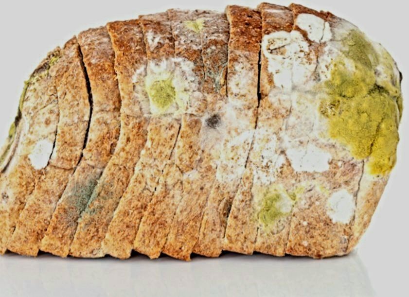 ��������� ������������ �����: ��� ����� �����