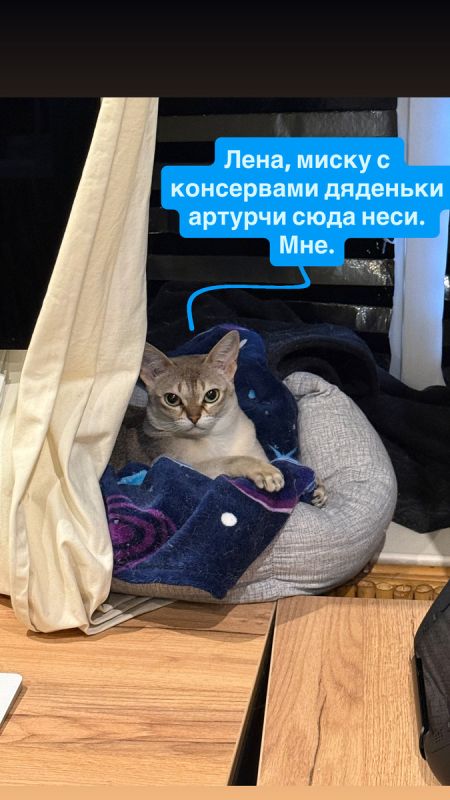 ������������ ���������: ����� ��������� � �� ������� �� �������� ��������