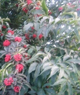 ��������� ������� ������: ��� ����� �����