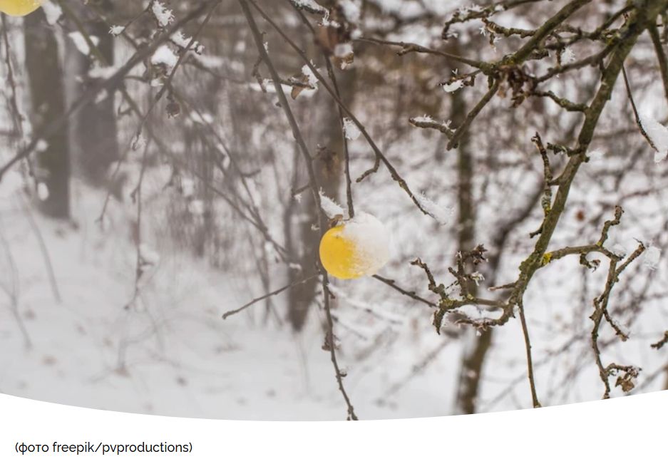 ���� �� �������� ��������� �����: ������ ���� � �� ������