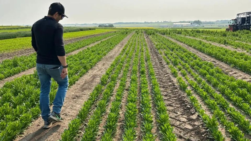 ��������� ������� ���������� ������� ��������� ������� � �������� ��������� �������