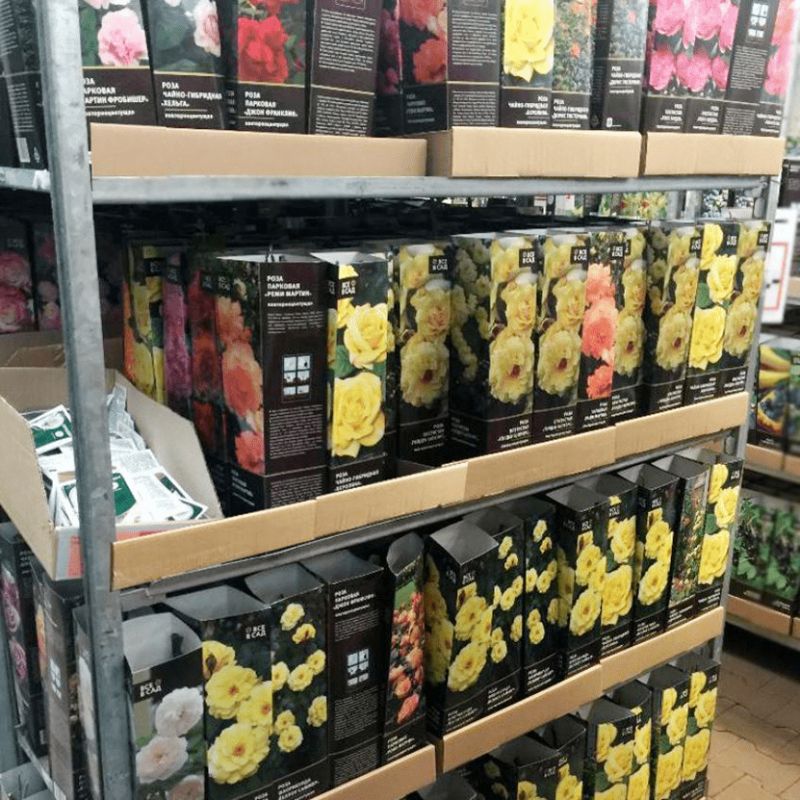 ��� ������� ������� ��� �����: ������ ��� ���������