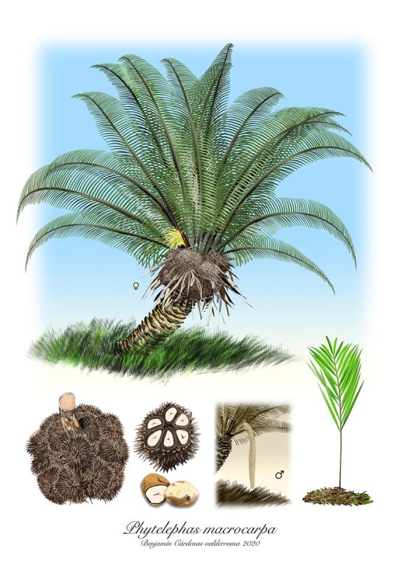 ��� ����� ���������� ������ � �����: ����������� ������� ������������ �������� �����